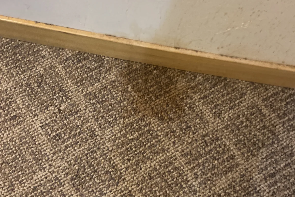 Stained carpet before cleaning in a Forest Glen home