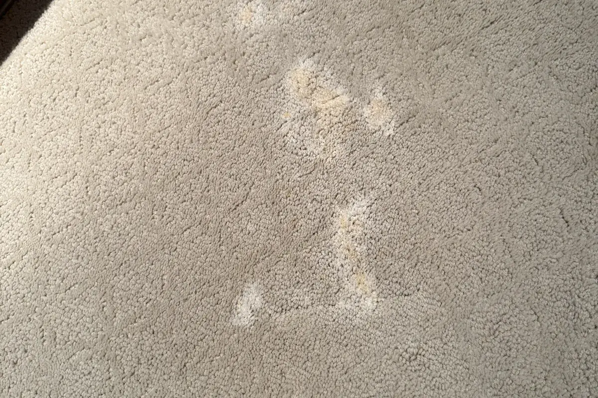 Stained carpet before cleaning in Wilmette