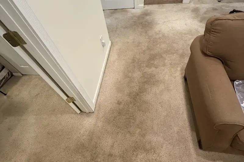 Before: carpet with traffic-lane soiling and spots