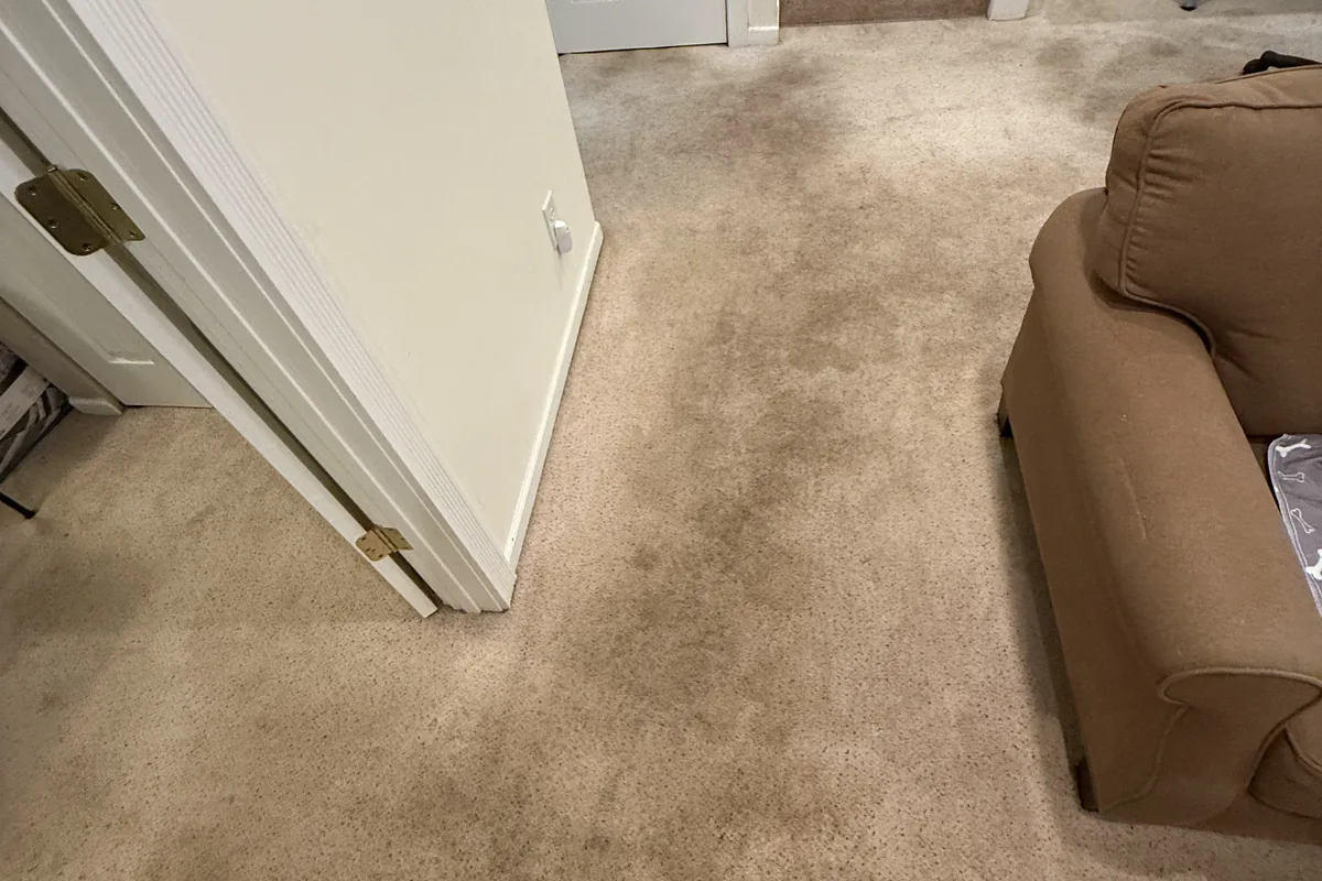 Stained carpet before cleaning in Wilmette