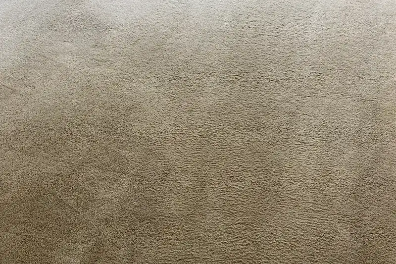 Before: carpet with traffic-lane soiling and spots