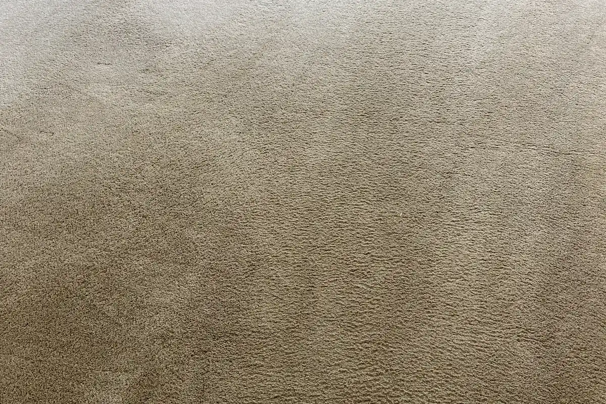 Stained carpet before cleaning in Winnetka