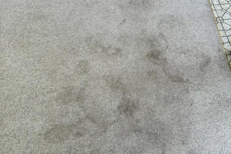 Before: carpet with traffic-lane soiling and spots
