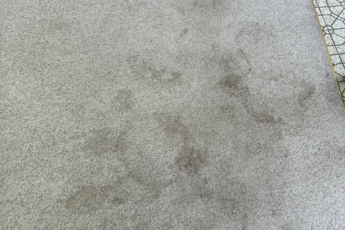 Stained carpet before cleaning in a Palos Park home