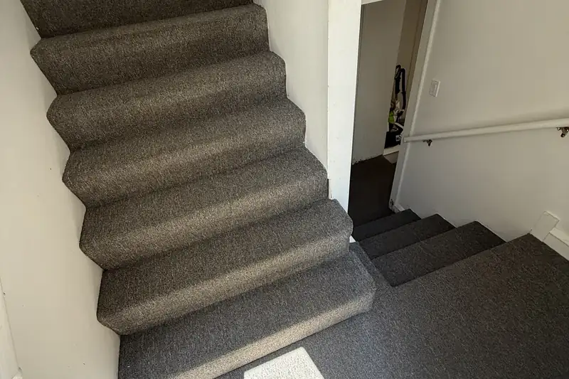 Before: carpet with traffic-lane soiling and spots