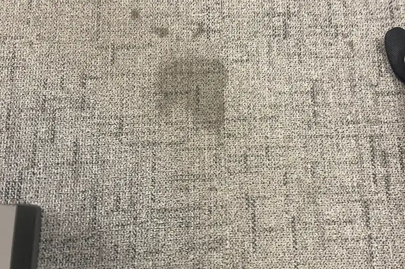 Before: carpet with traffic-lane soiling and spots