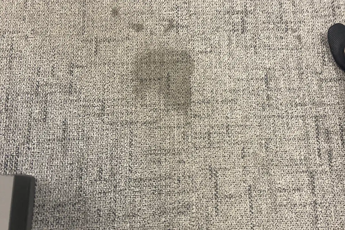 Stained carpet before cleaning in Mt Prospect
