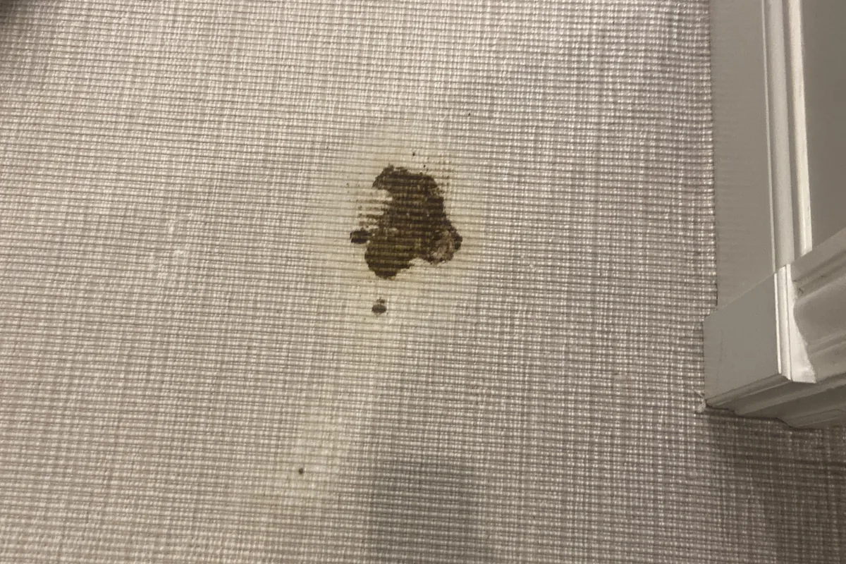 Stained carpet before cleaning in Naperville