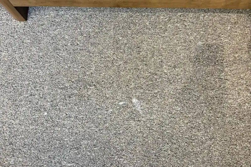 Before: carpet with traffic-lane soiling and spots