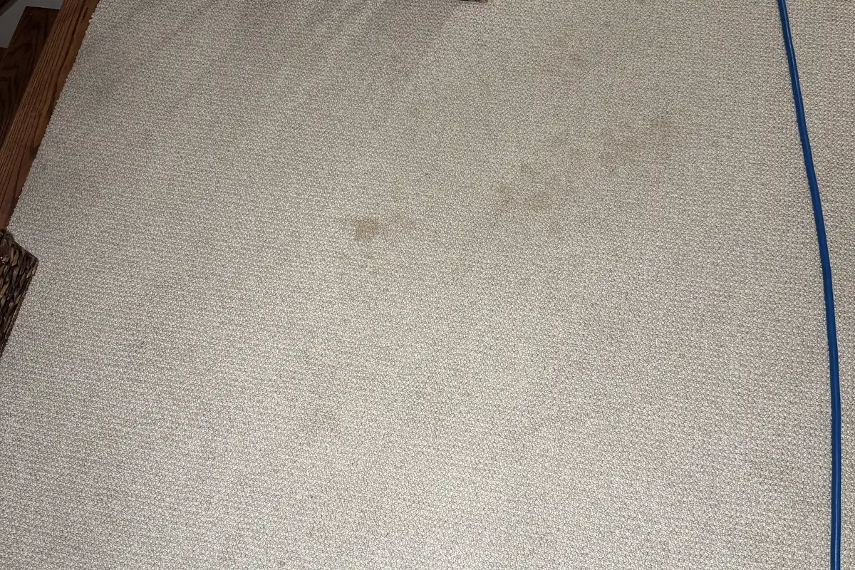Stained carpet before cleaning in a Deer Park home