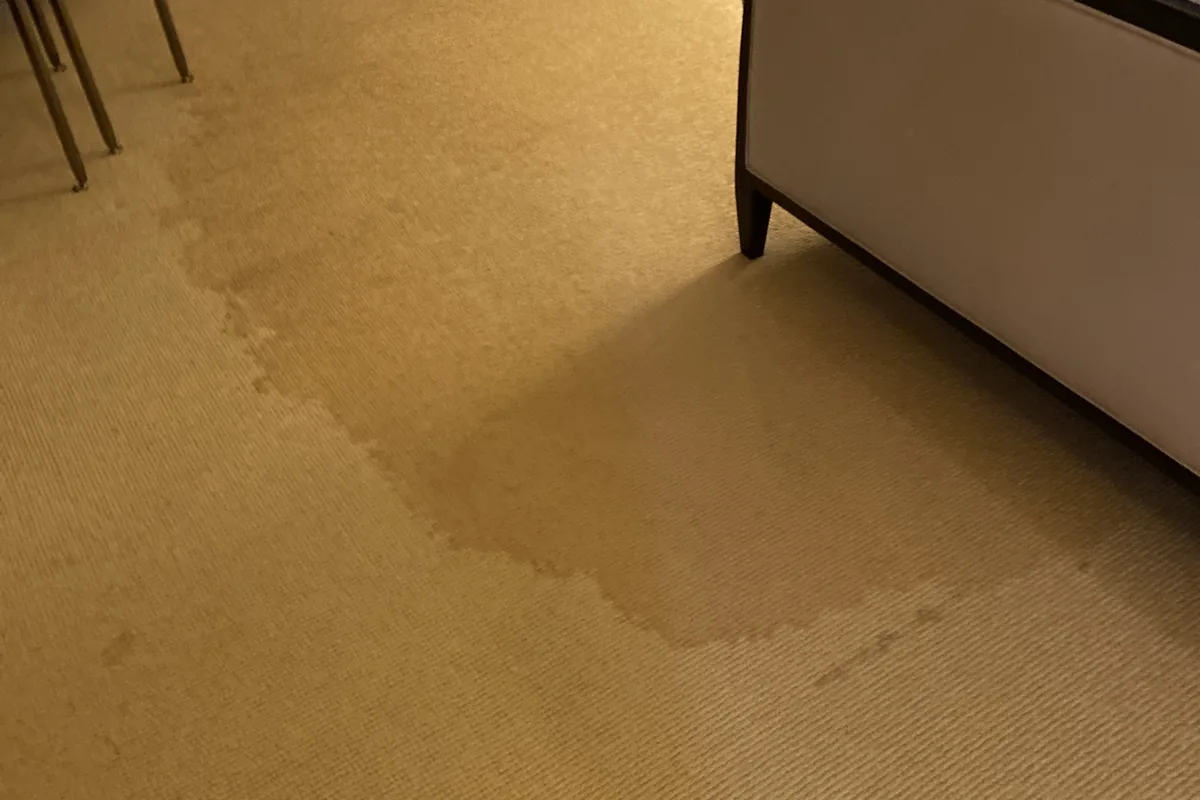 Stained carpet before cleaning in Des Plaines