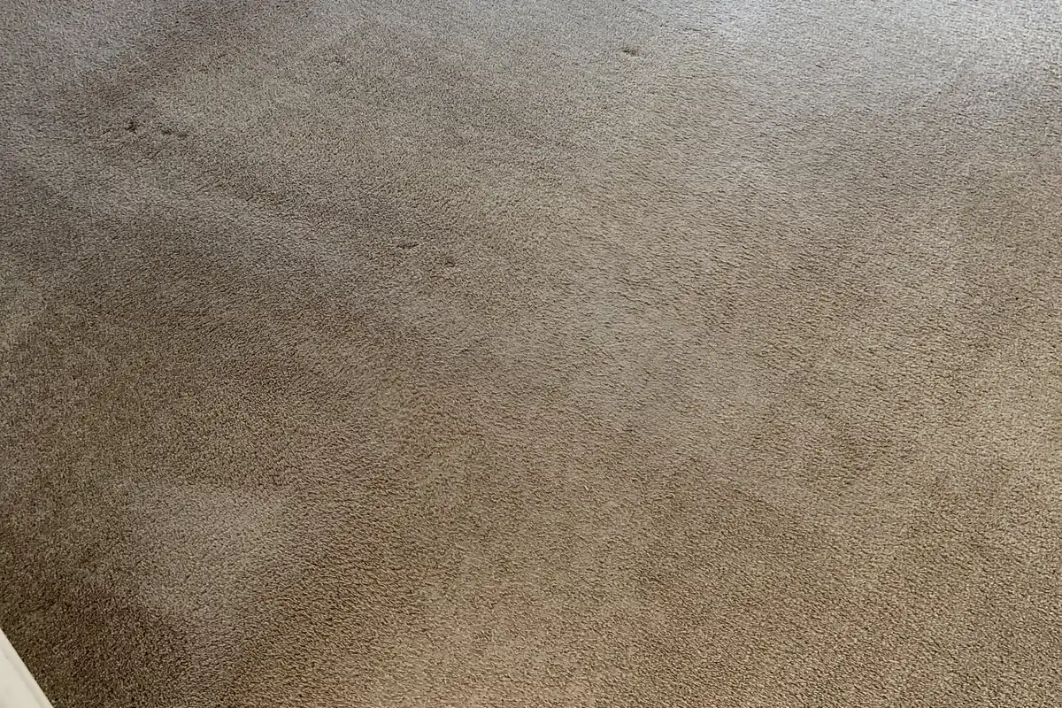 Stained carpet before cleaning in a North Park home