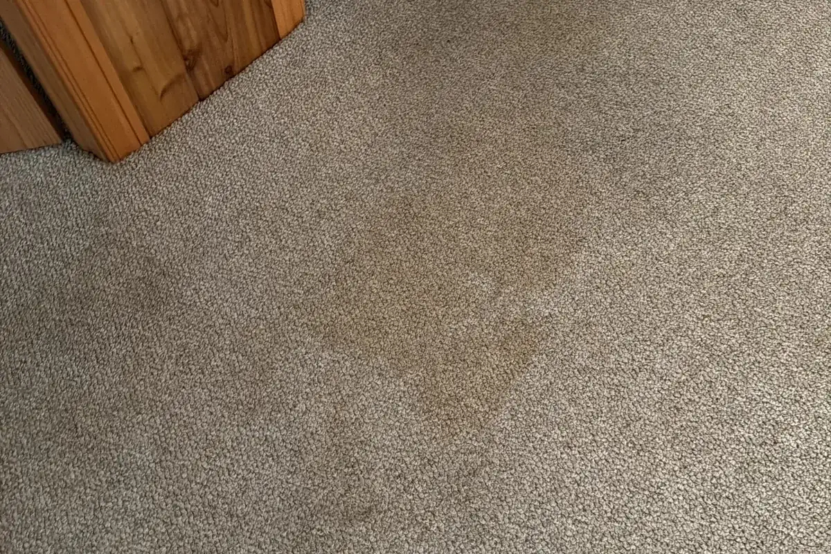 Stained carpet before cleaning in an Andersonville condo