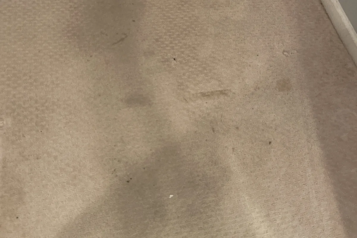 Stained carpet before cleaning in a Northfield home