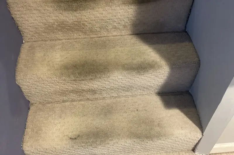 Before: carpet with traffic-lane soiling and spots