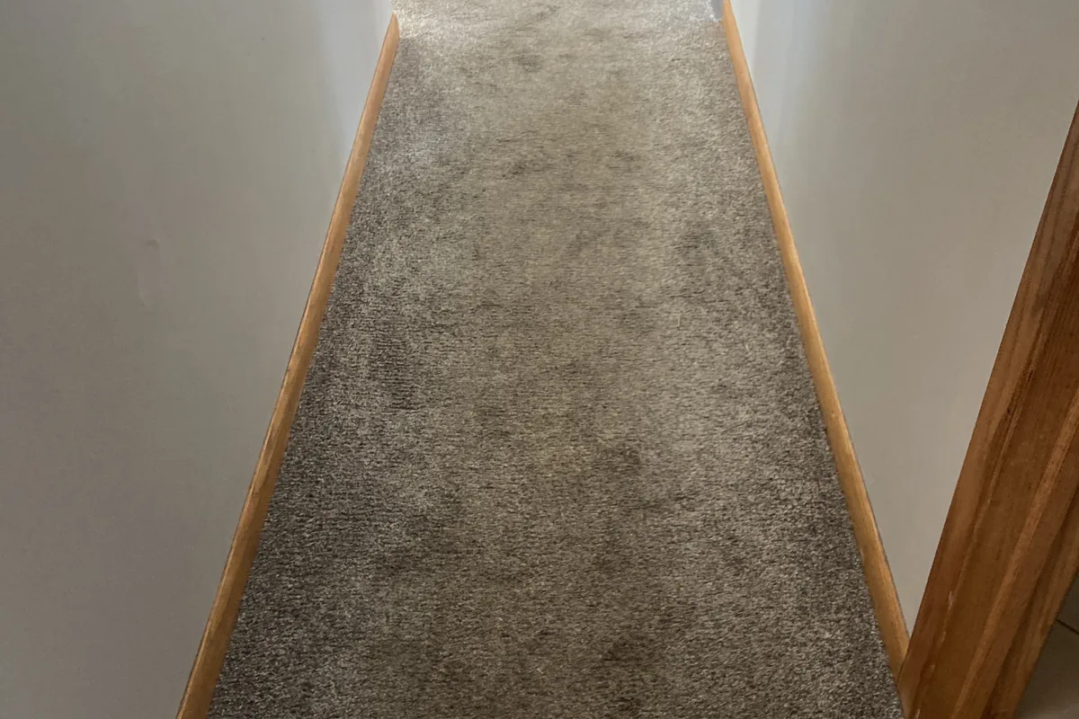 Stained carpet before cleaning in a Oak Brook home