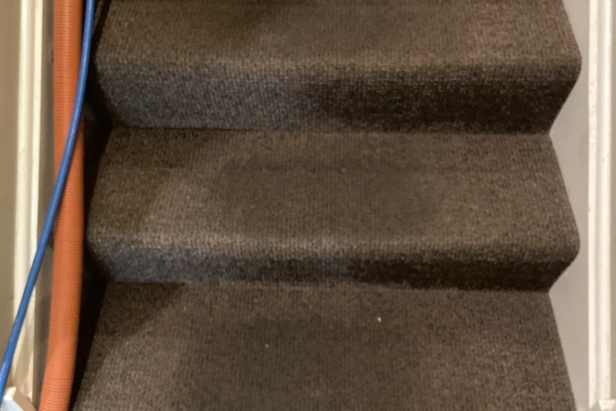 Stained carpet before cleaning in an Elgin home