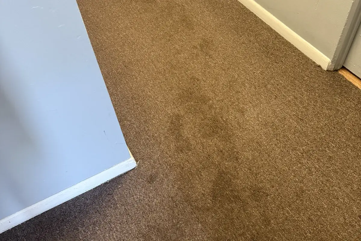 Stained carpet before cleaning in an Avondale apartment