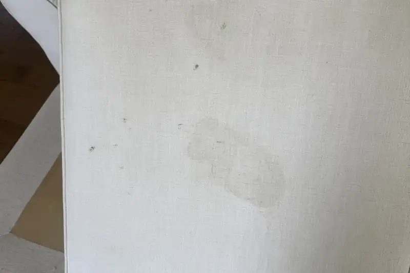 Before: carpet with traffic-lane soiling and spots