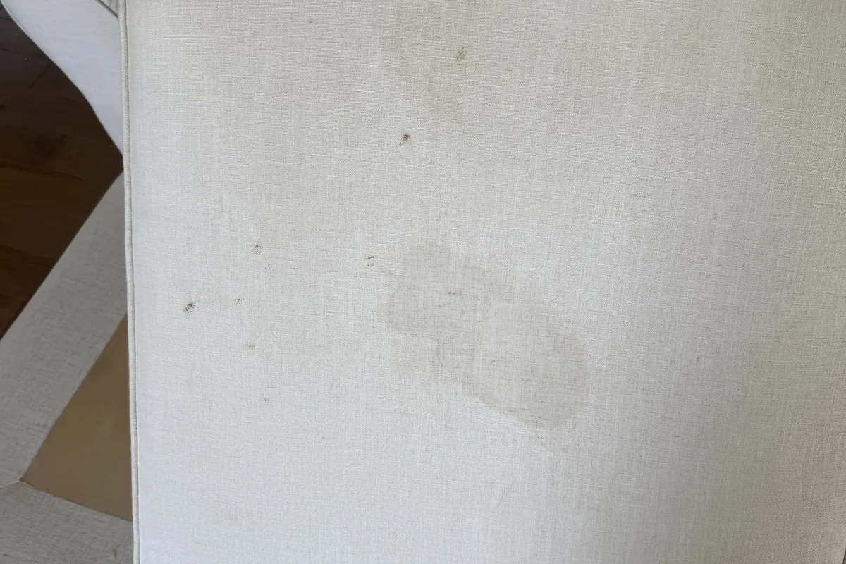 Stained carpet before cleaning in a Prospect Heights home