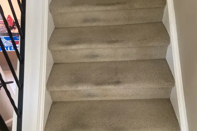 Before: carpet with traffic-lane soiling and spots