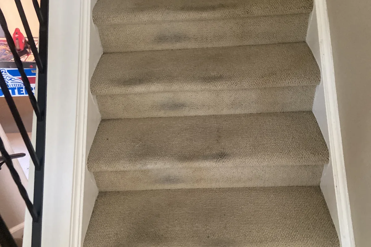 Stained carpet before cleaning in a Uptown home