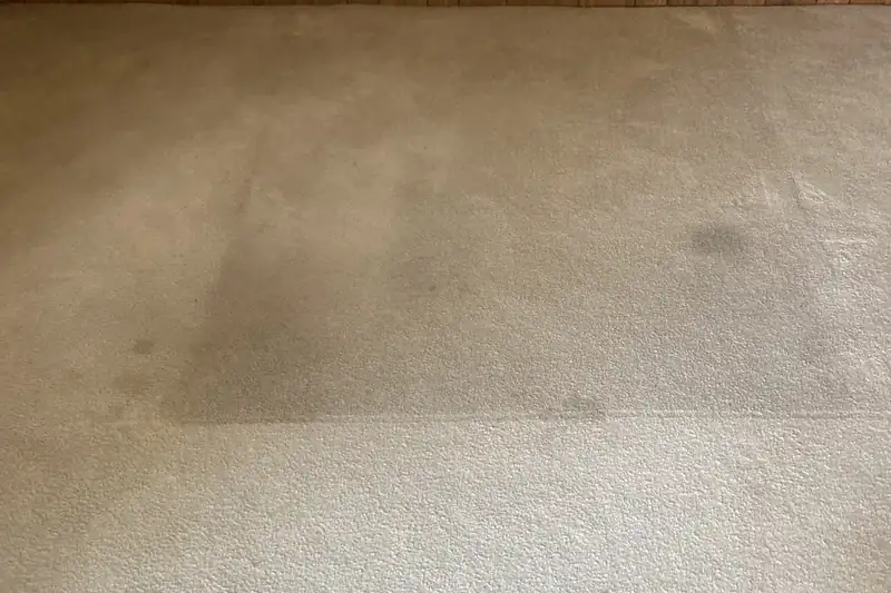 Before: carpet with traffic-lane soiling and spots