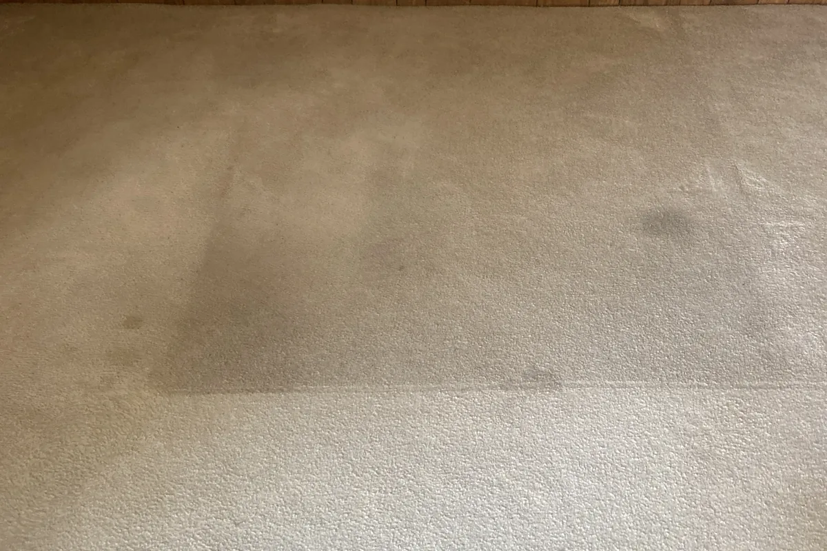 Stained carpet before cleaning in a Glenview home