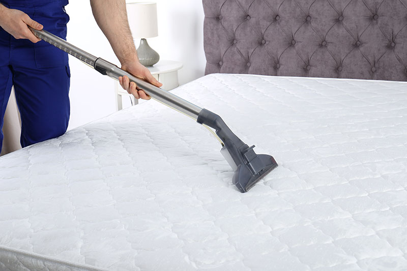 Best Mattress Cleaning in Los Angeles - professional steam products to  remove stains and odors. Best price in L.A. - top rated equipment to remove  bed bug infestations
