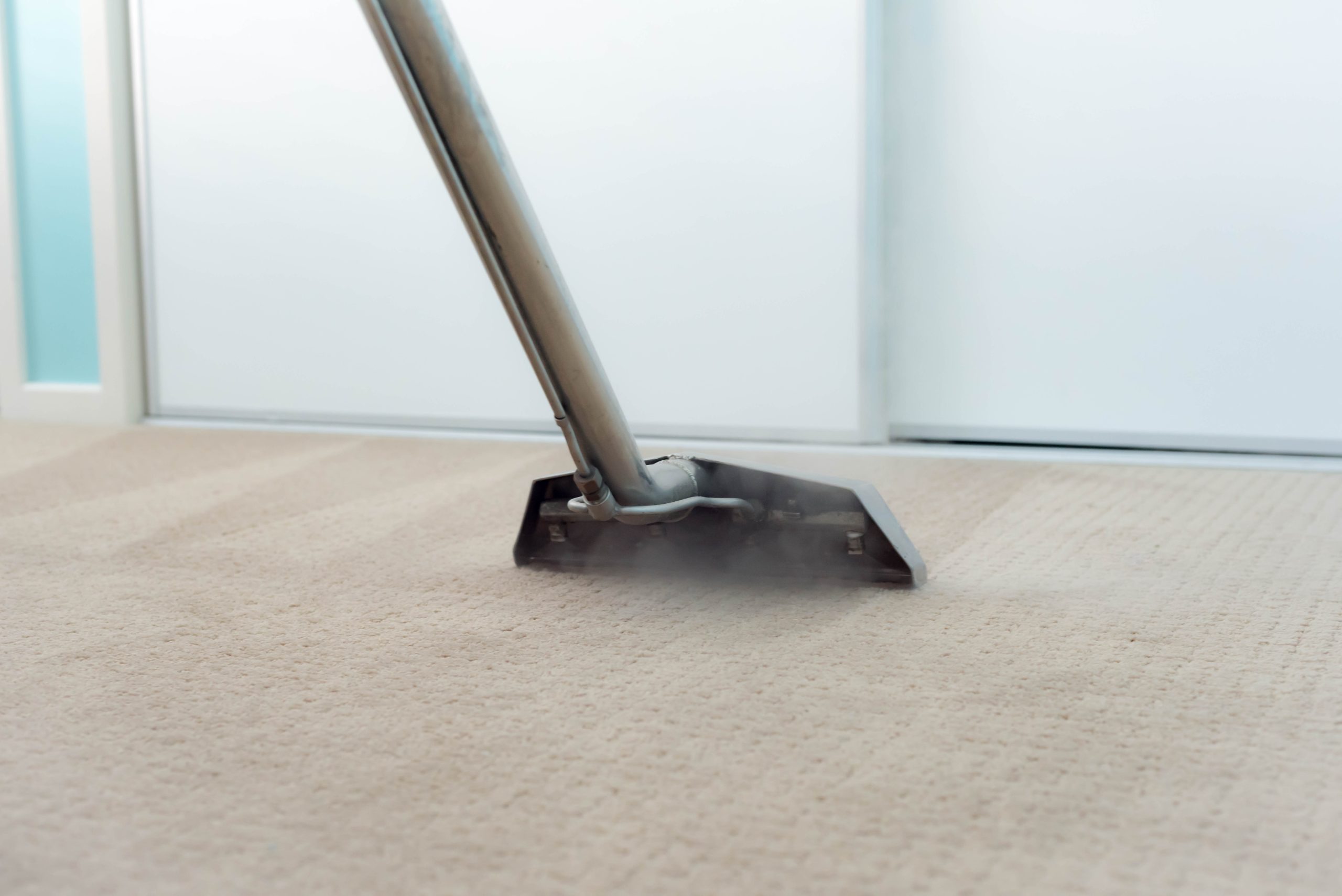 Why Steam Carpet Cleaning Isn’t Always the Best Option