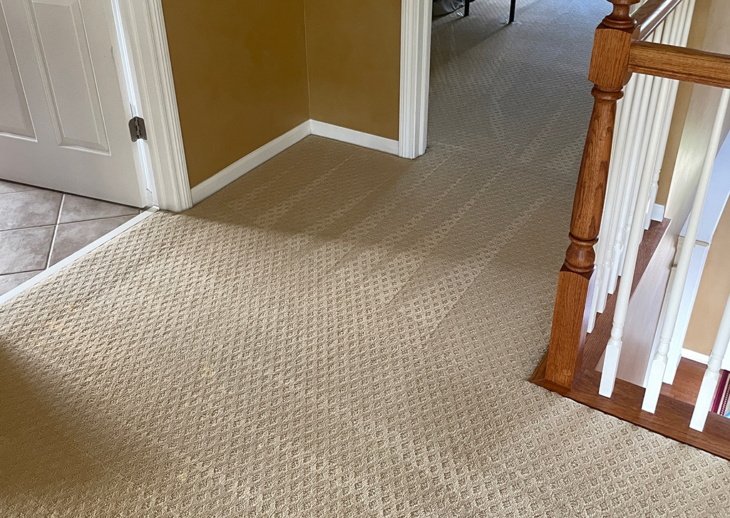 Top Tips for Effective Carpet Cleaning and Carpet Maintenance