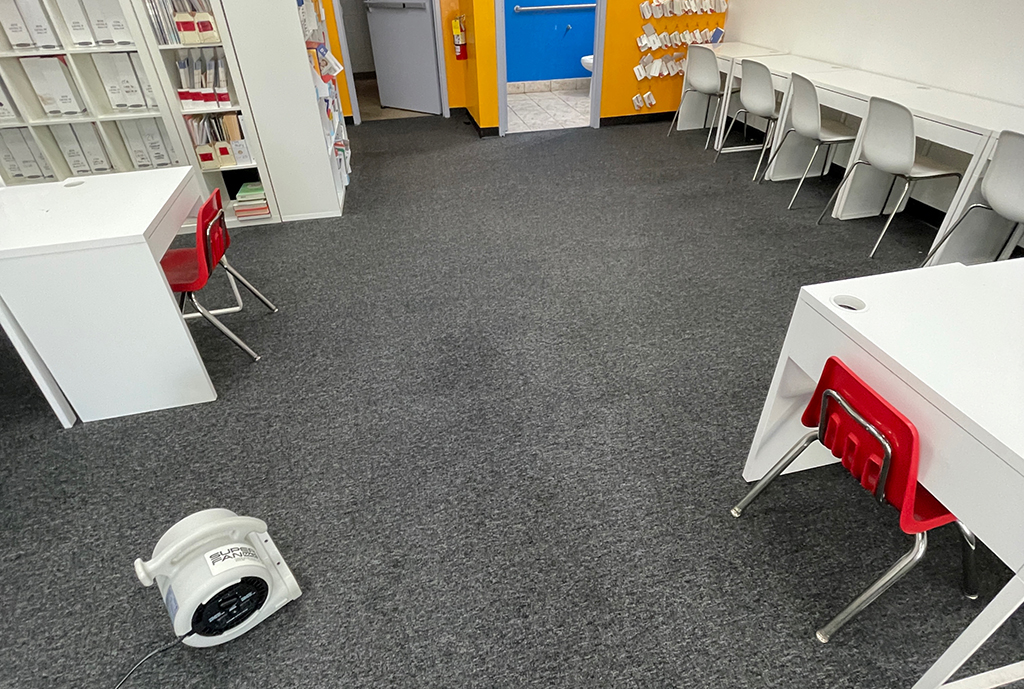 office carpet being dried after cleaning