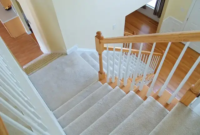 Steam carpet cleaning