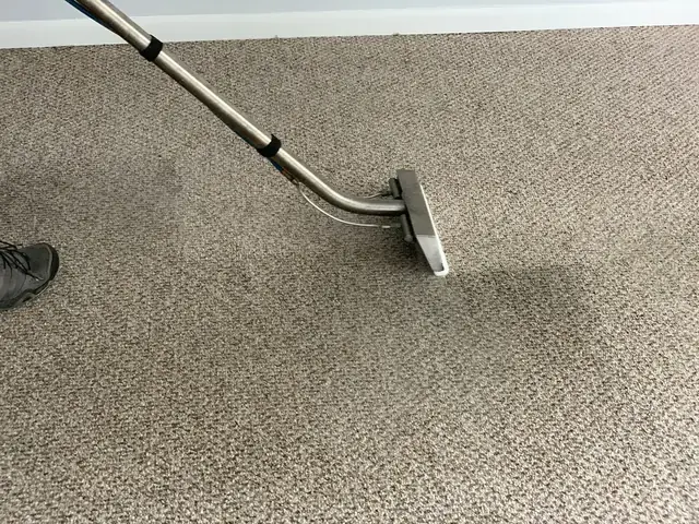 Commercial carpet cleaning