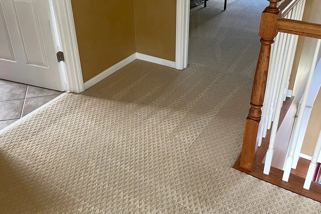 Top Tips for Effective Carpet Cleaning and Carpet Maintenance