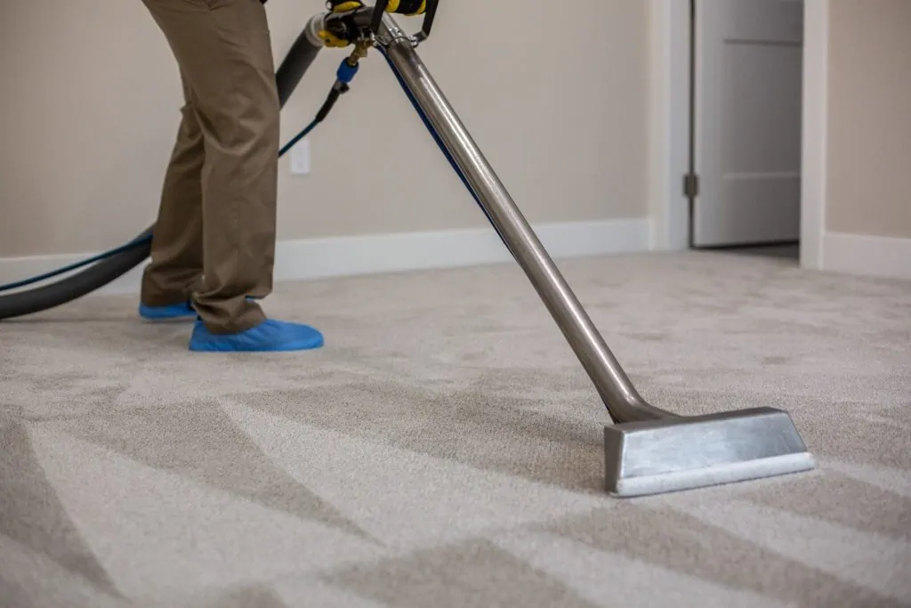 professional carpet cleaner