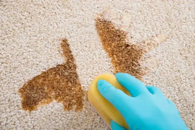 Carpet spot treatment