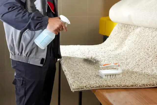Carpet Stain Removal Made Simple: Proven Tips That Actually Work
