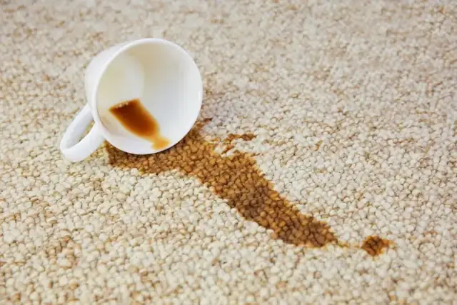 Steps to Take When You Find a Stain on Your Carpet