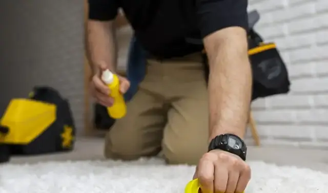 Truth About Cheap Carpet Cleaners
