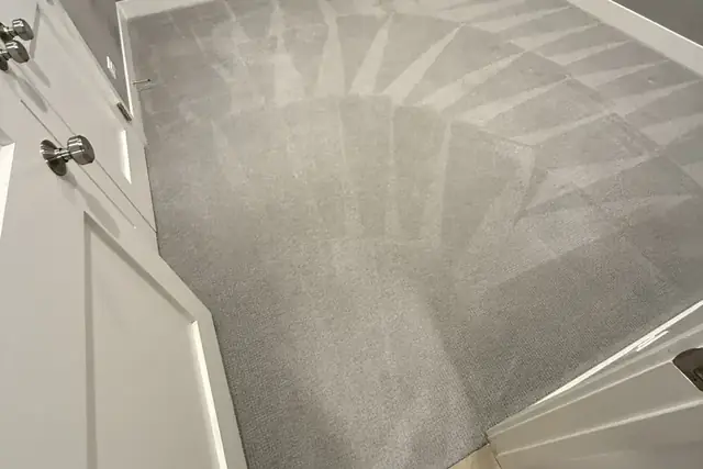 Carpet Cleaning Cost in Chicago: A Real 4-Room Job With Hidden Pet Urine ($330 Case Study)