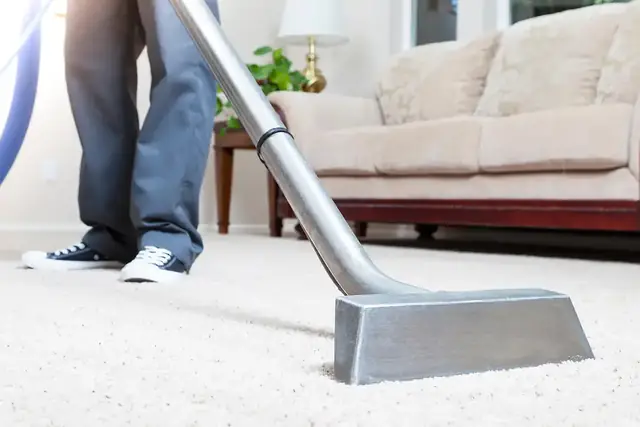 Best Carpet Cleaning Company in Chicago