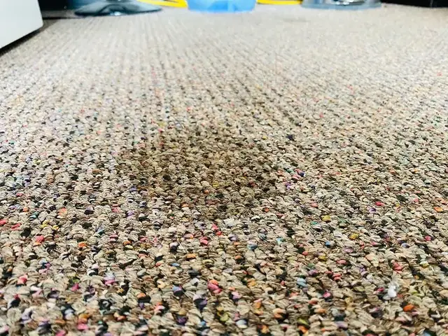 Berber carpet cleaning