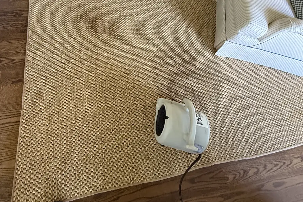 Air mover set on a jute area rug to dry spot-cleaned areas beside a striped upholstered armchair