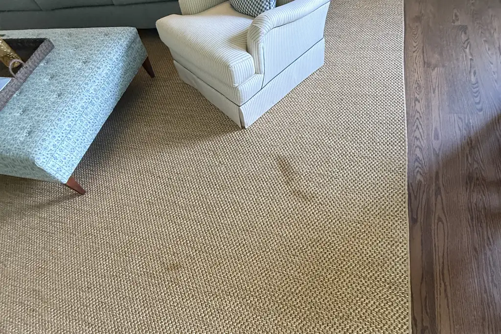 Large jute area rug in a Barrington living room with dark organic stains in the middle, before spot cleaning