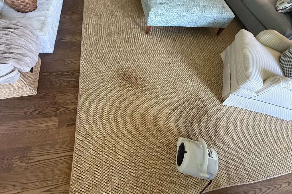 Air mover drying treated spots on a jute area rug in a Barrington living room after professional spot cleaning