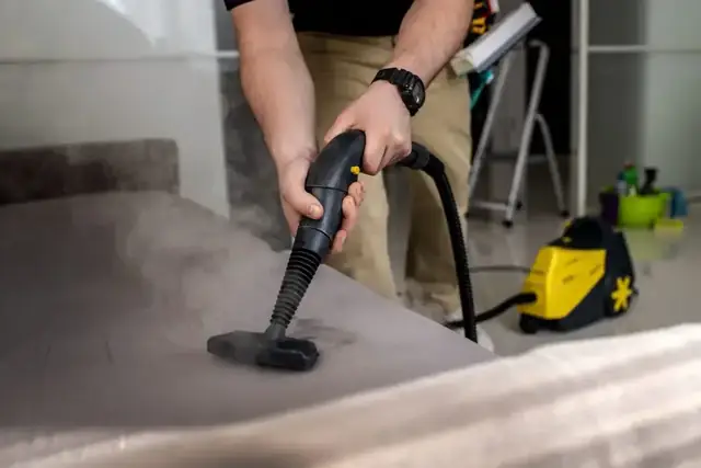 Professional Couch Cleaning in Northbrook, IL: When DIY Just Won't Cut It