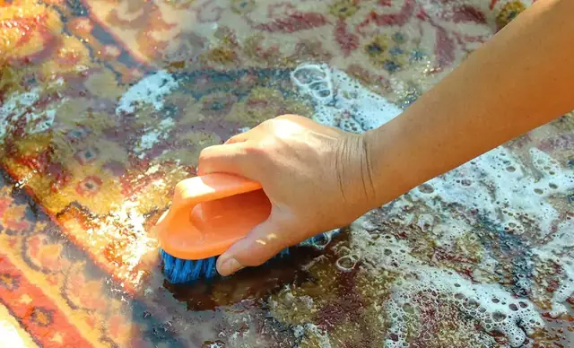 Area rug scrubbing