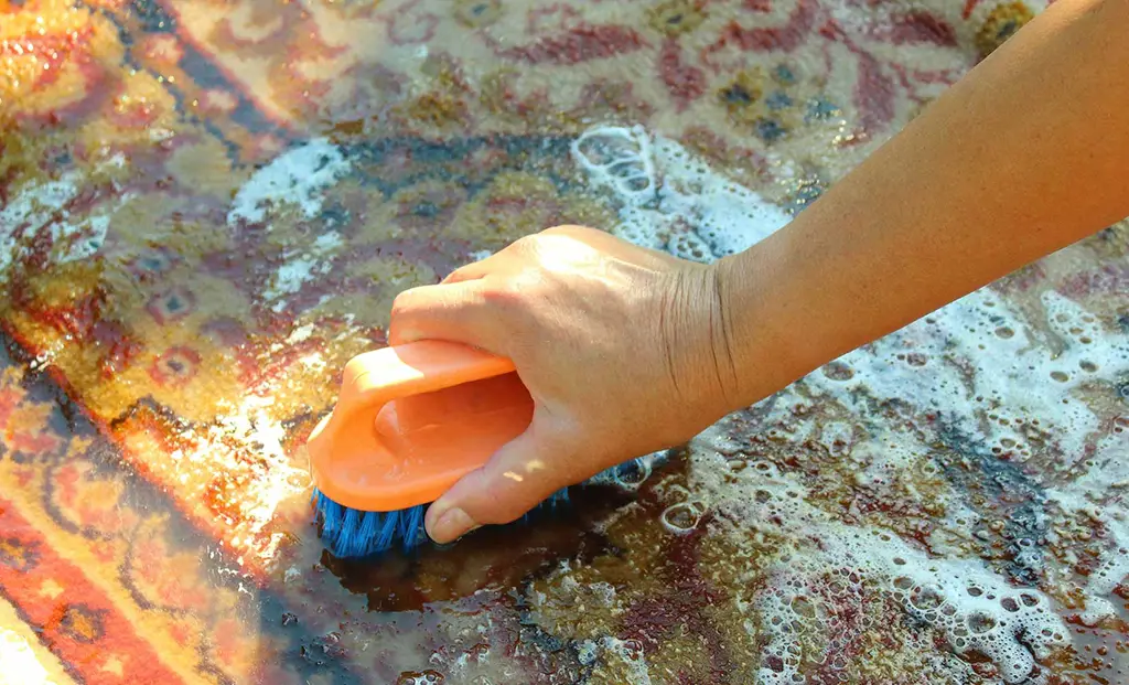 Persian Rug Cleaning: Expert Techniques Chicago Homeowners Can Trust