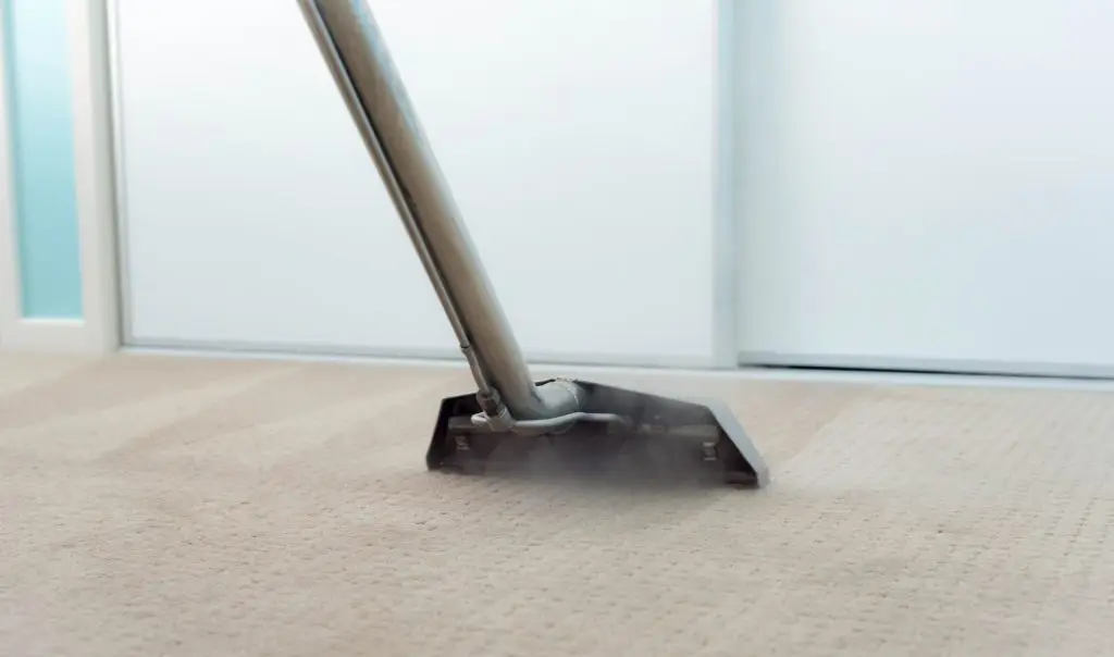 Why Steam Carpet Cleaning Isn't Always the Best Option
